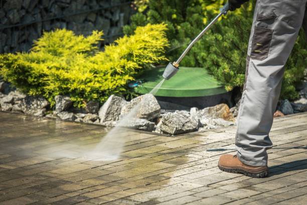 Best Soft Washing for Delicate Surfaces in Gresham Park, GA