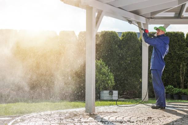 Best Roof Cleaning and Mildew Removal in Gresham Park, GA